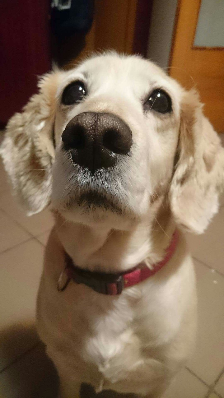 Beauty