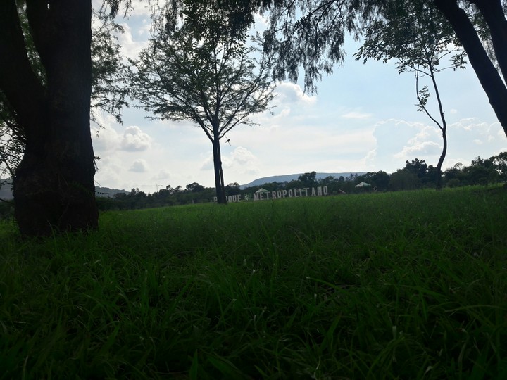 metropolitano