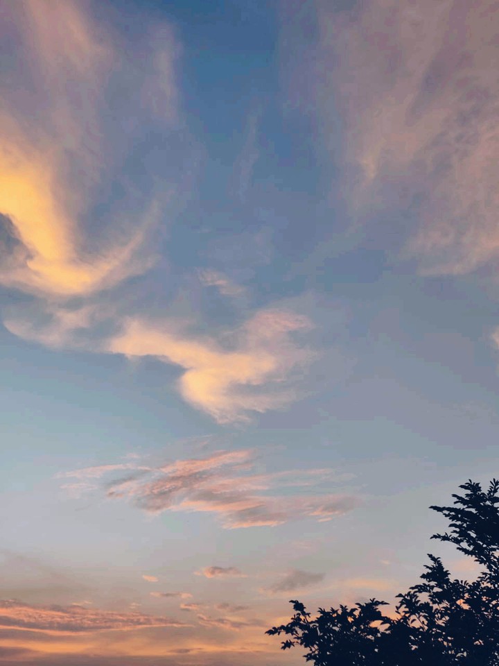 Sky