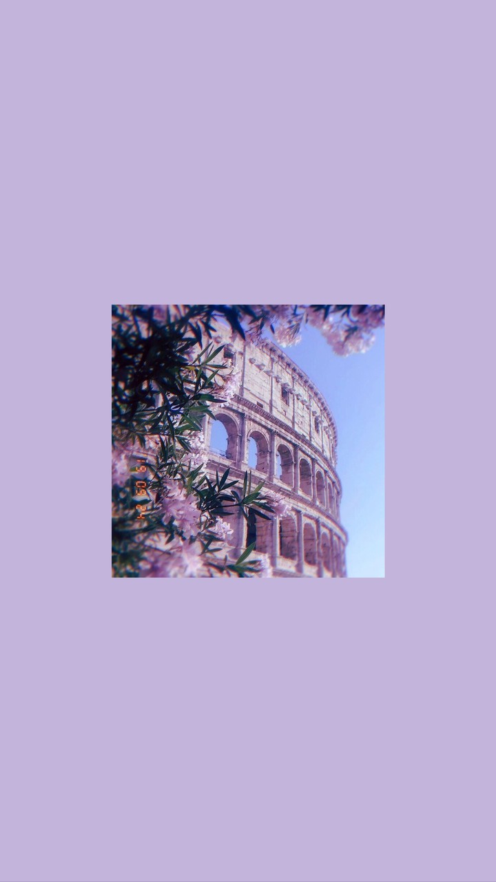 Wallpaper
