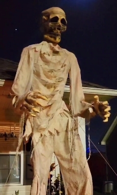 Halloween decorations