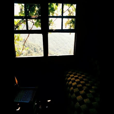 pencere