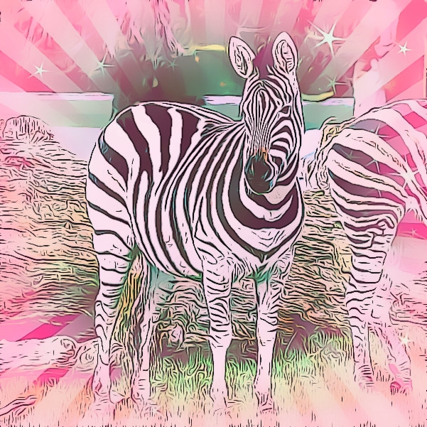 pink zbra