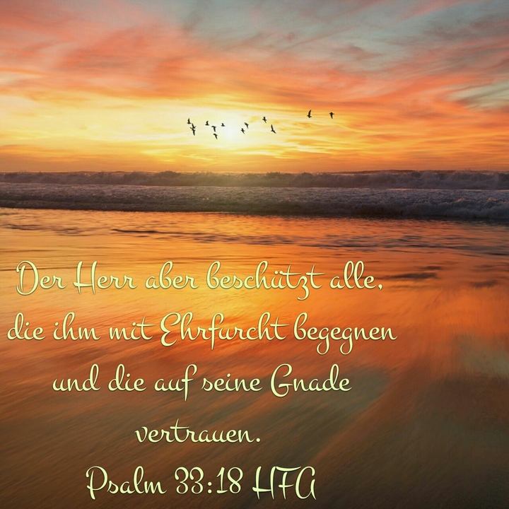 Tages Text