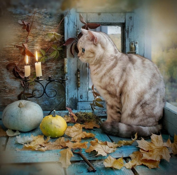 #cute
