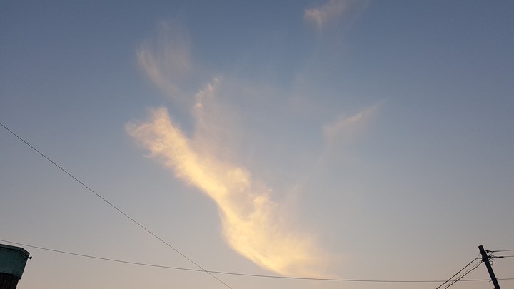 하늘