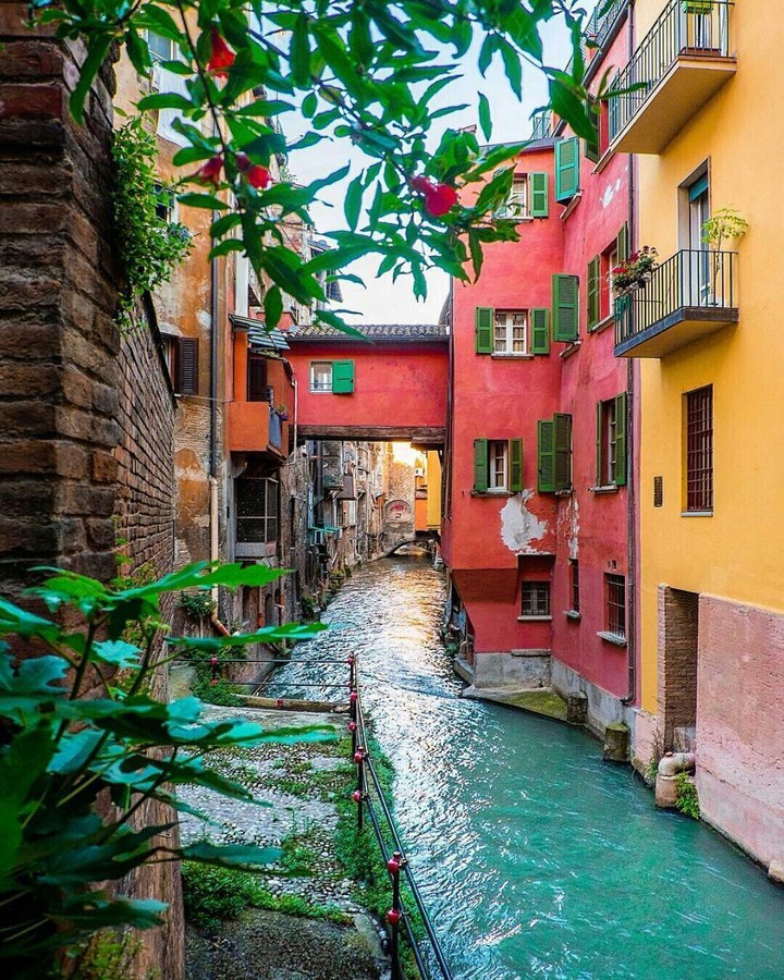 bologna centro