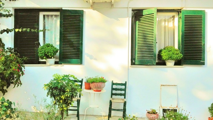 ~green house~