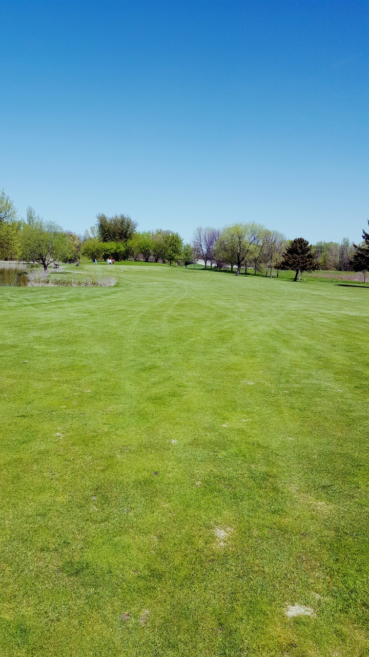 glencoe cc