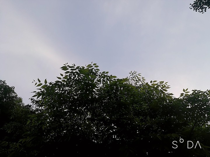 풍경