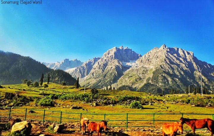 kashmir