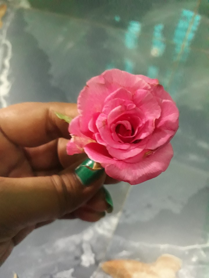 rose