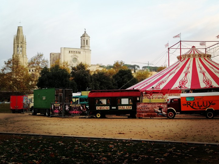 Circus