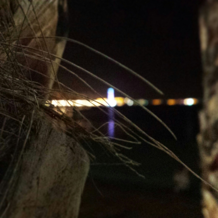One Night Along The Sea