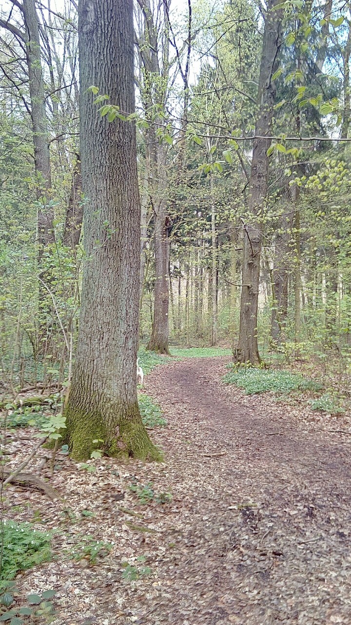 verschlungene Wege
