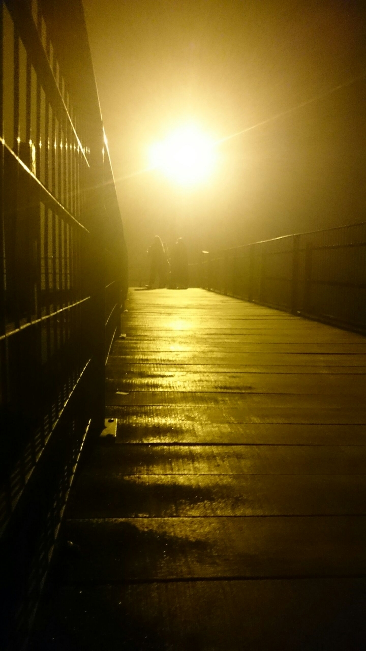 night