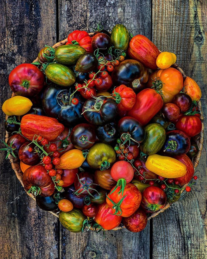 Tomato