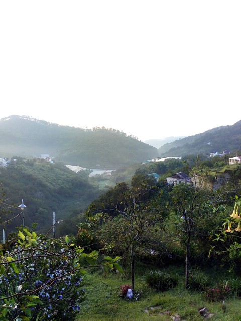 Sáng sớm