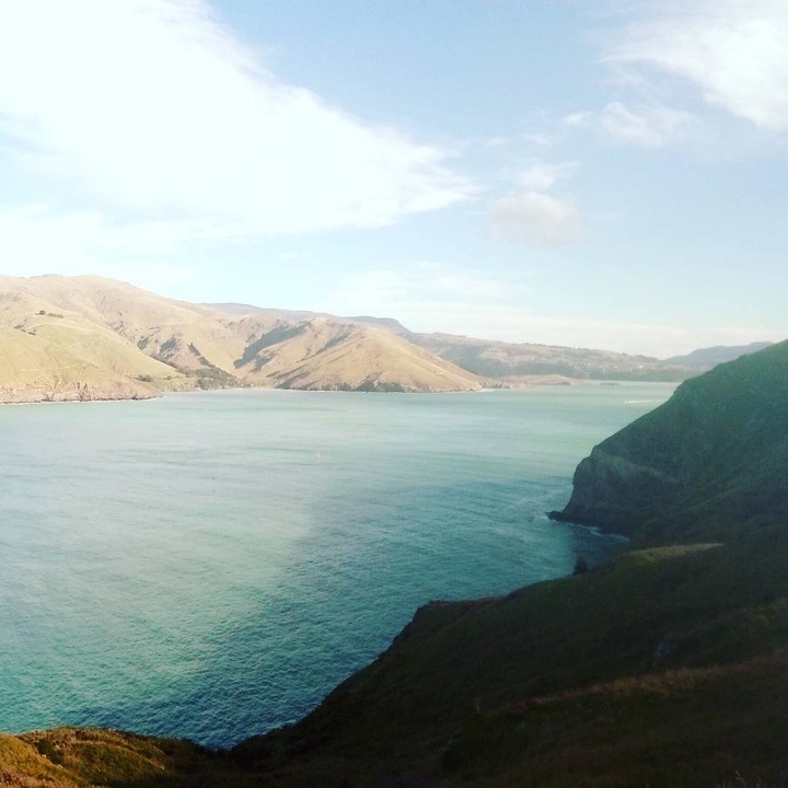 Sunny in the Hills