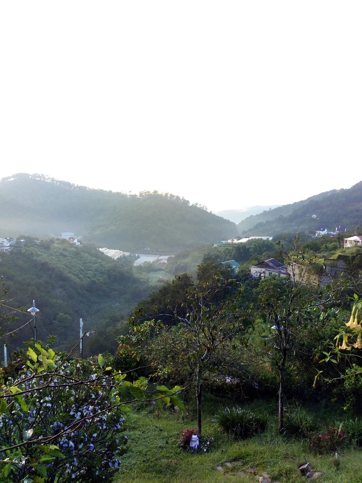 Sáng sớm