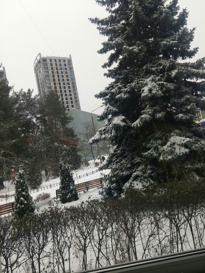 Зима