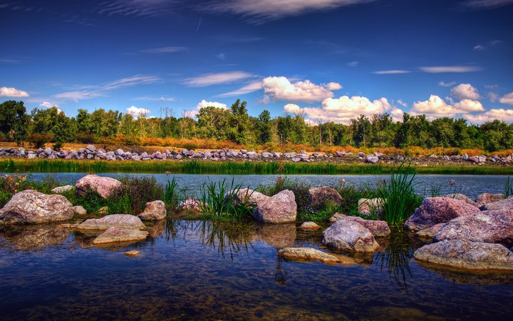 Nature's Beauty
