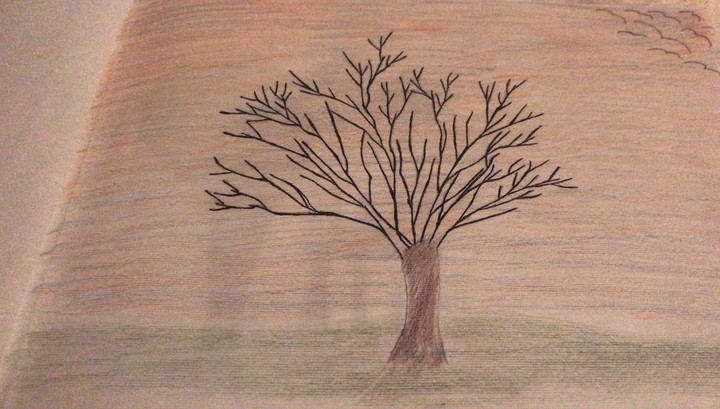 ~Disegno a matita di un albero solitario~