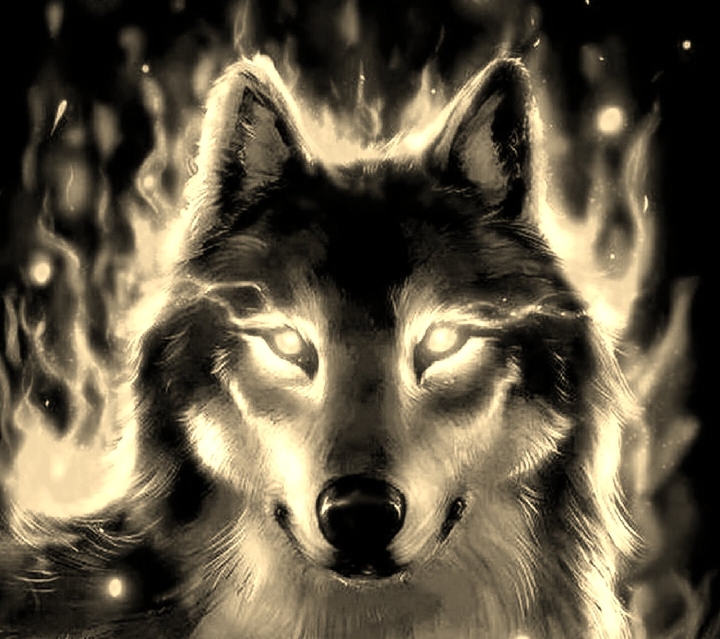 Fire Wolf