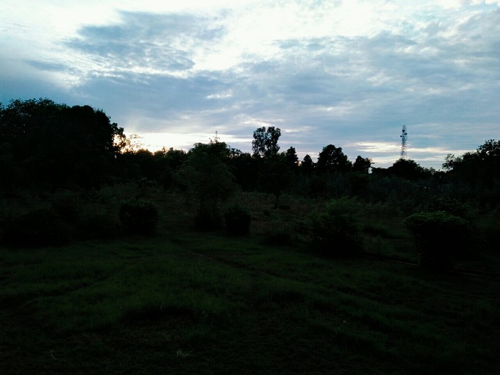 Good morning friends....