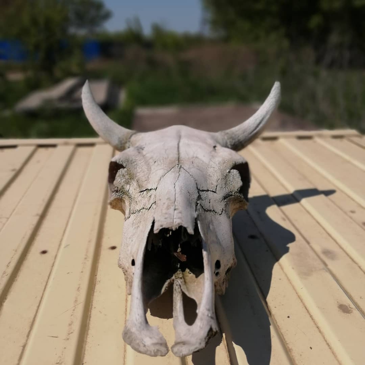 Ъ