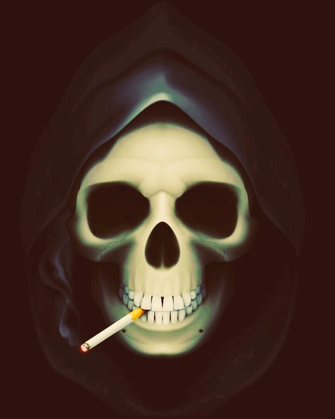 skull