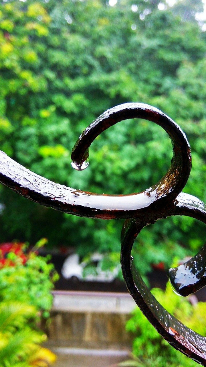 After the showers