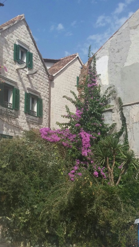 Nature