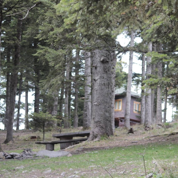 A little house in the forrest