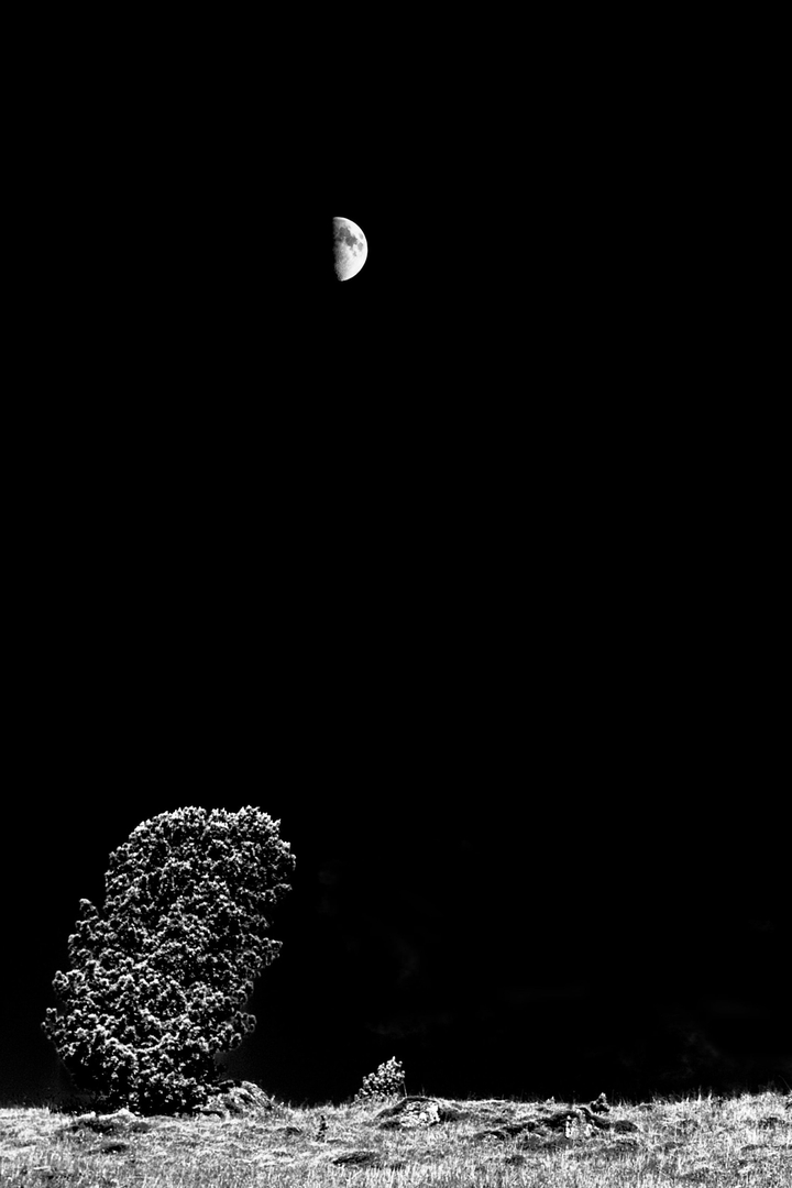 Black Night
