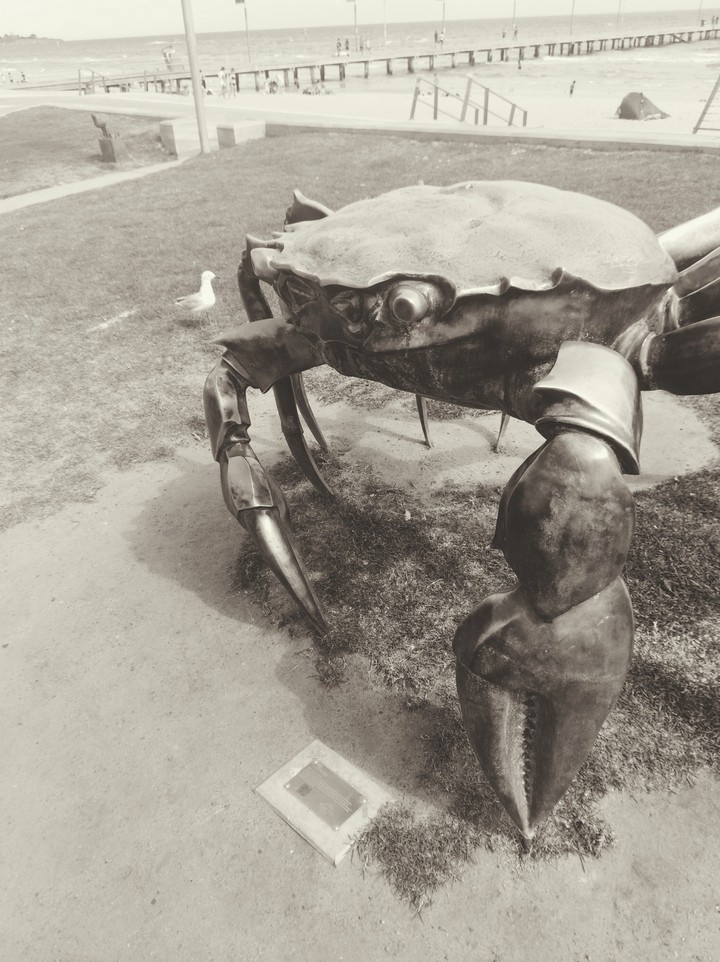attack of the giant crab