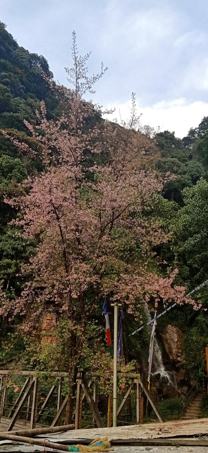 7falls view