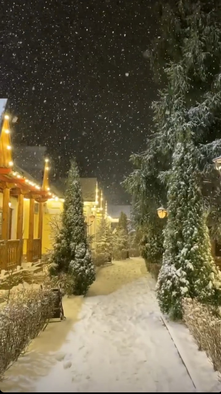 winter