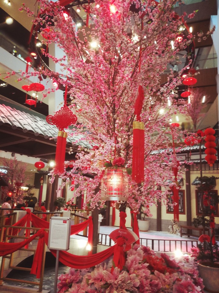 happy Chinese new year