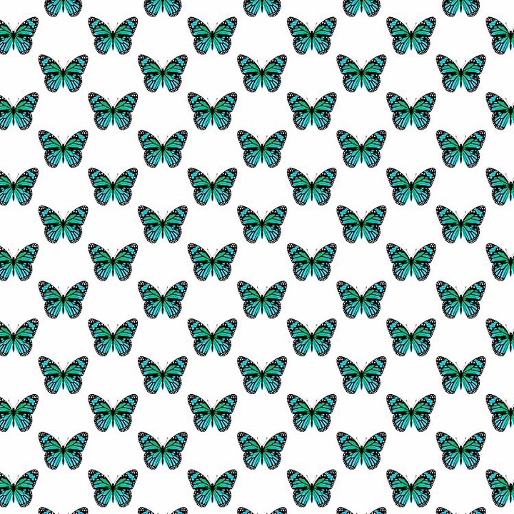 88