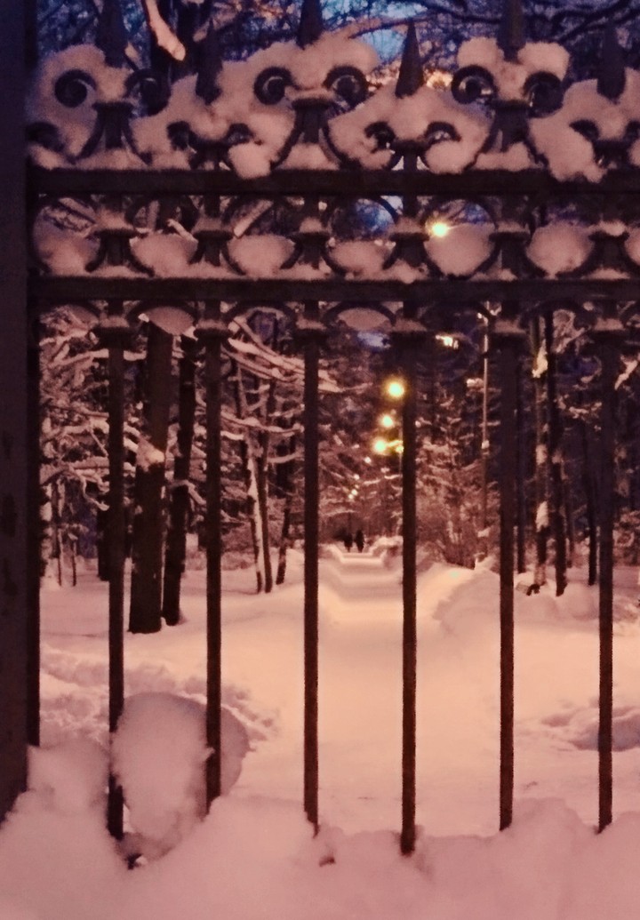 Winter stories