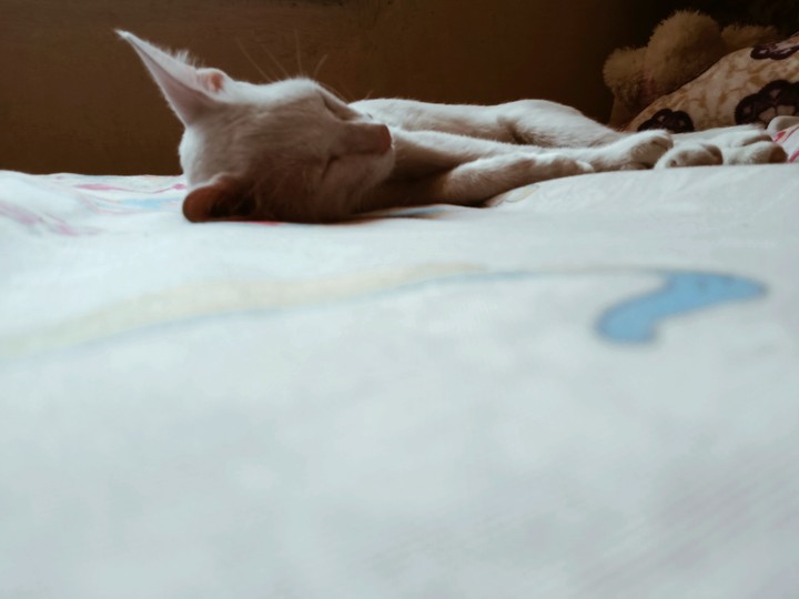 mau