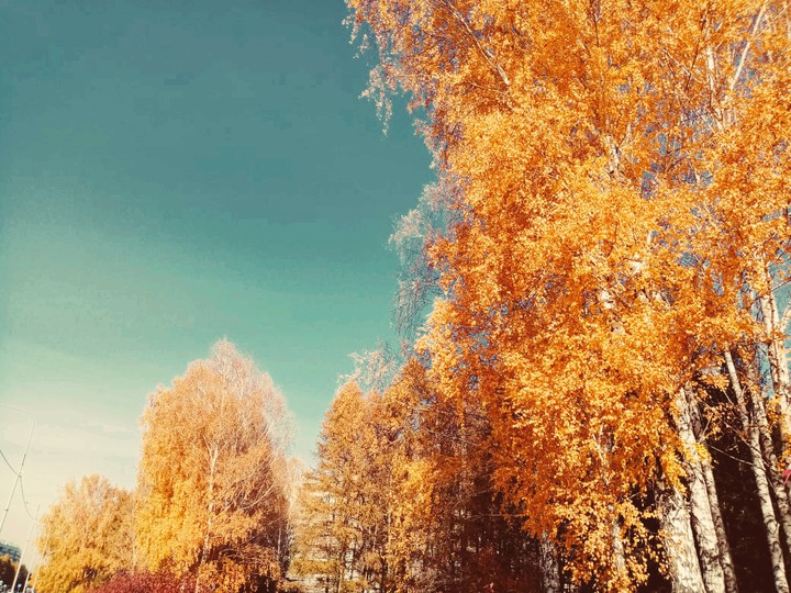 Осень