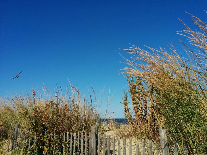 rehoboth beach boardwalk