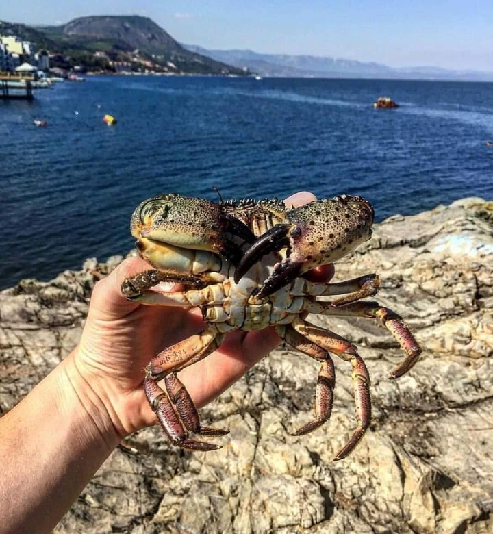 КРЫМ