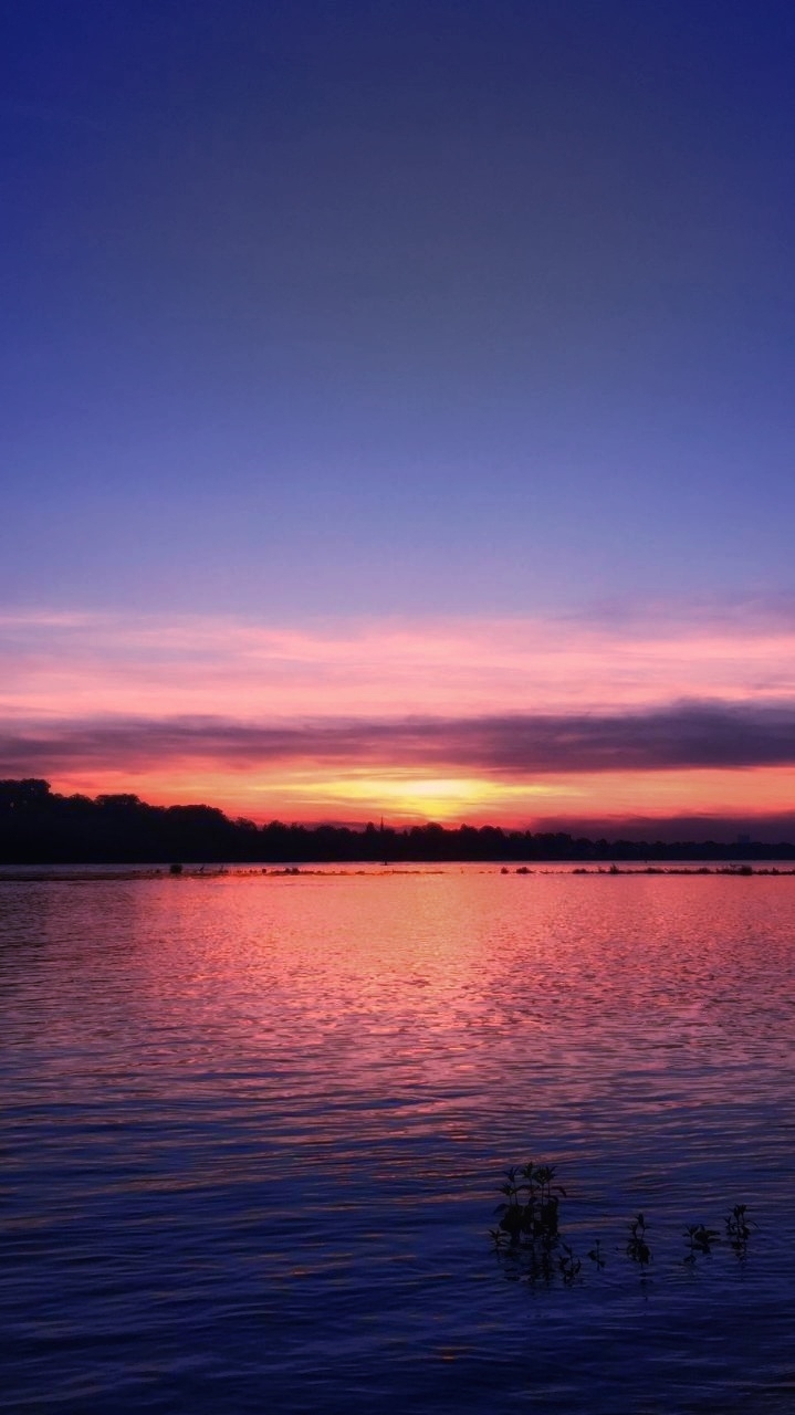 violet sunset