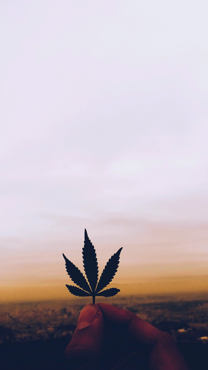 weed