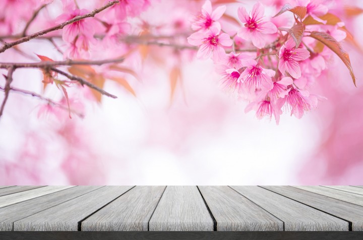 Spring