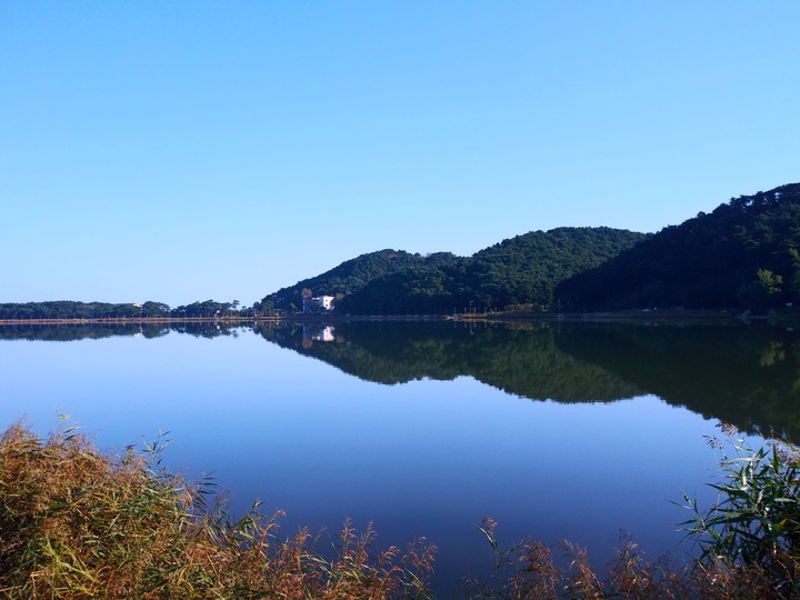 강