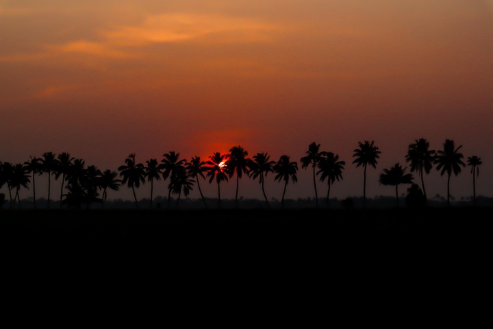 sunset